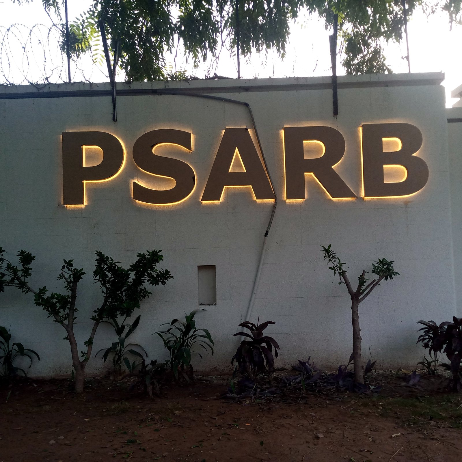 PSARB halo-lit outdoor 3D letter signage